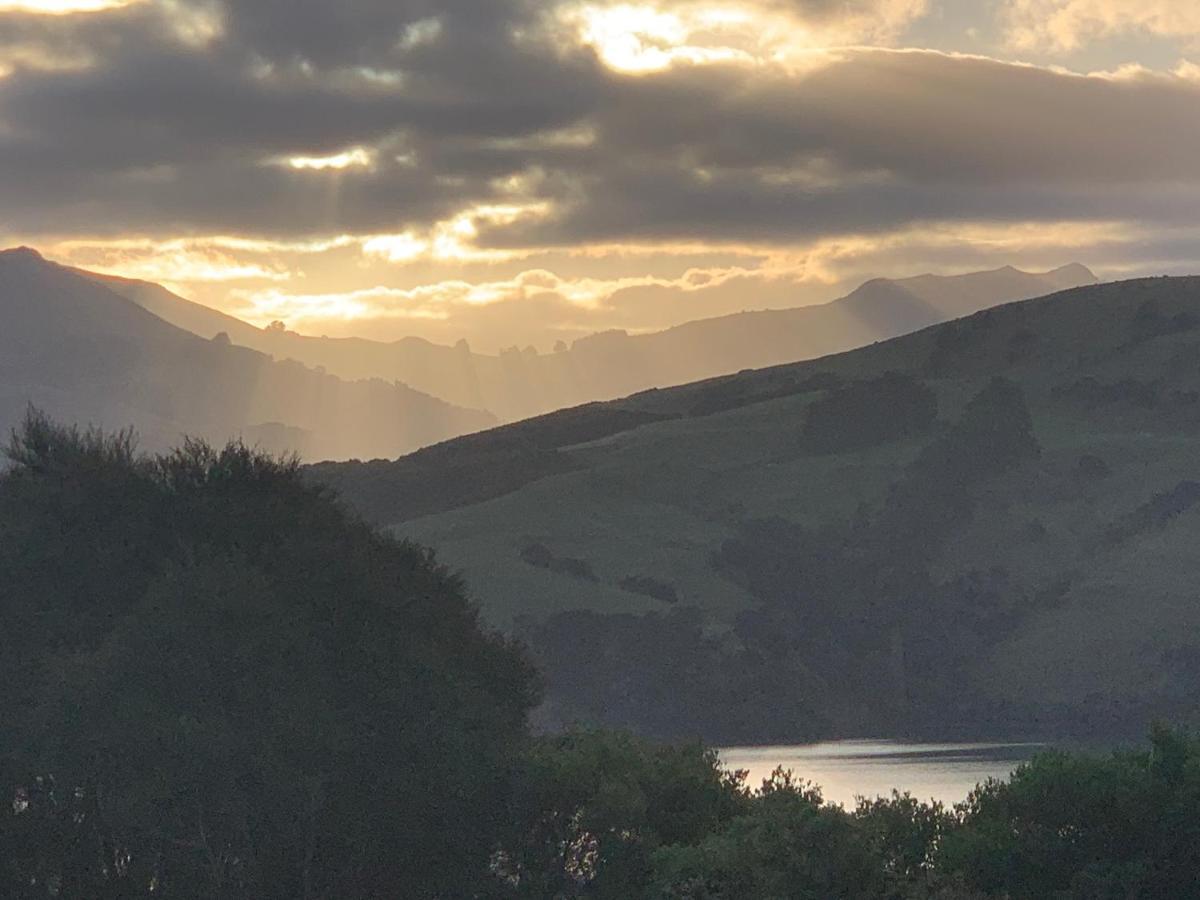 Love Akaroa Retreat Extérieur photo
